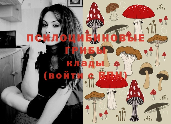 а пвп мука Верея