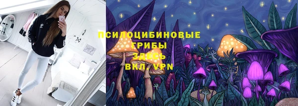а пвп мука Верея