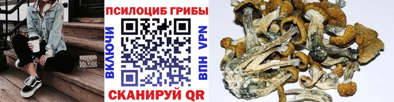 Псилоцибиновые грибы Psilocybine cubensis  гидра ССЫЛКА  Каспийск 